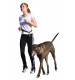 بند قلاده و کمربند مخصوص پیاده روی و دویدن با سگ/ Running Leash Active
