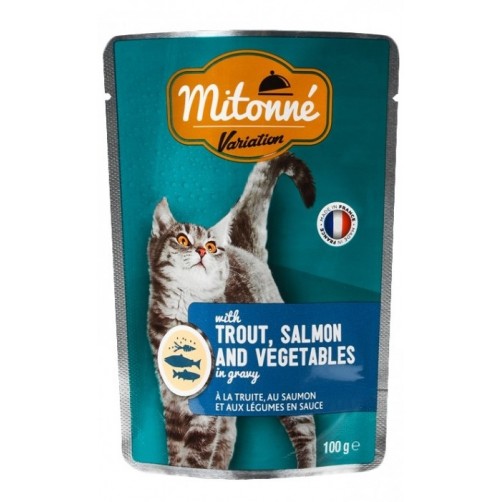 پوچ گربه mitonne- ماهی قزل آلا و سالمون با سبزیجات