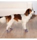 جوراب مخصوص سگ سایز M-L/  یک جفت (2 عدد)