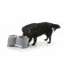 ظرف پایه دار دوقلوی سگ/ سایز بزرگ/ Ergo feeder Large 