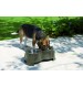 ظرف پایه دار دوقلوی سگ/ سایز متوسط/ Ergo feeder 