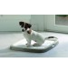 توالت مخصوص سگ + 7 عدد پد ادرار/ Puppy Trainer Starter Kit