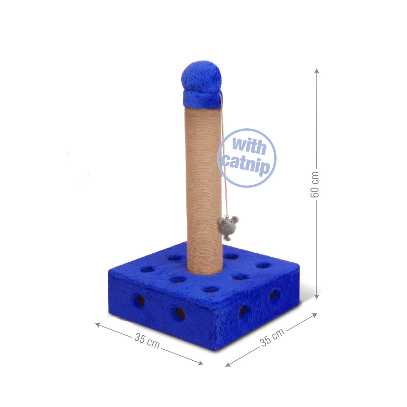 اسکرچرگربه مدل پنیری